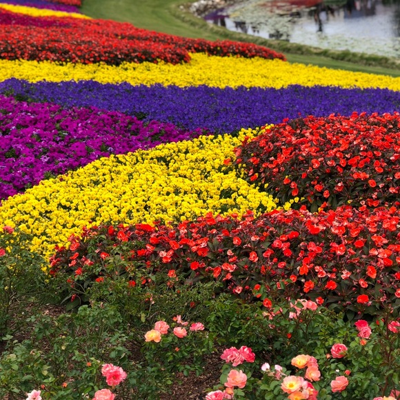 Meet your Posher, Shauntel - Picture 1 of 1